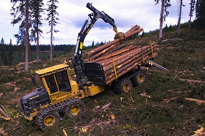 Tigercat Forwarder